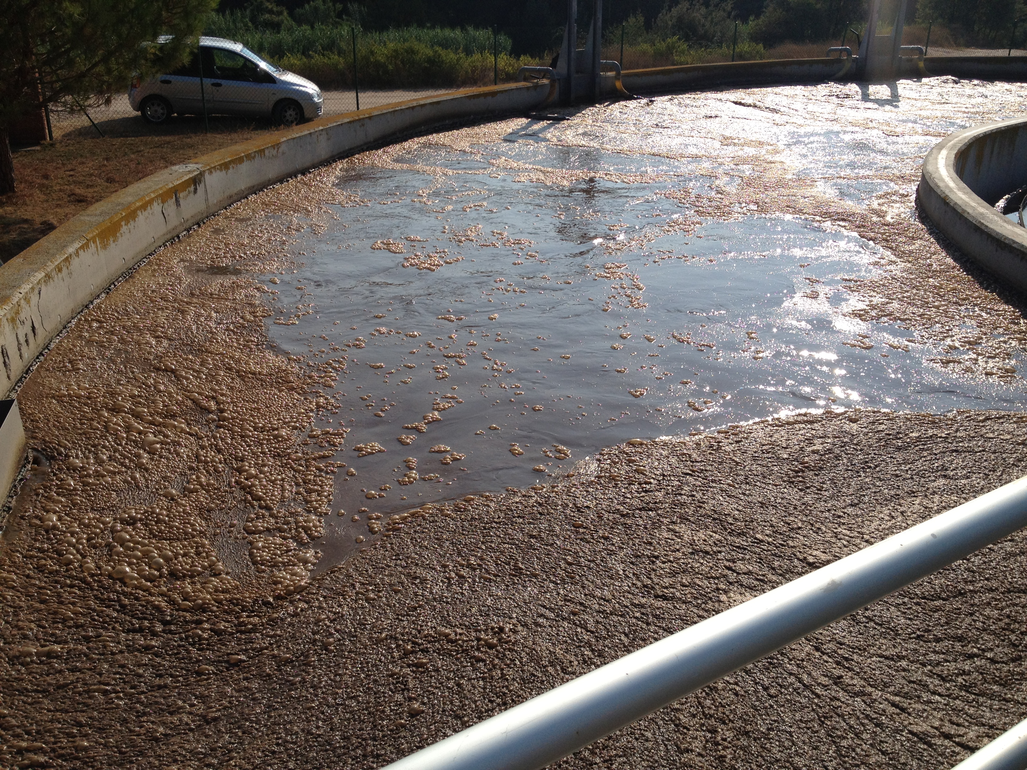 Lamelova zona a prostor sedimentace v sekundarnim dosazovaku