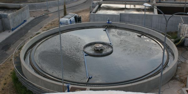 rascador-manowar-01 rascador-manowar-01